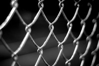 Fence Links