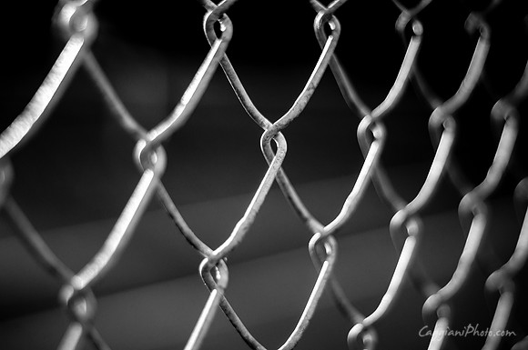 Fence Links