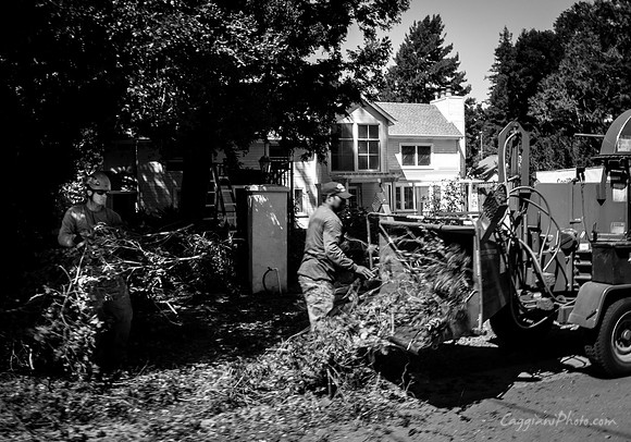 Wood Chipping