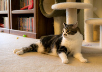 Kramer Lounging