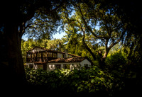 Jungle House