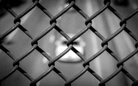 Car Fence