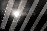 Sunny Circular Web Beams