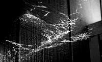 Weird Web
