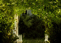 Green Archway