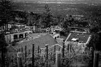 Mountain Winery Filling Up