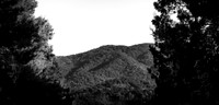 The Hills