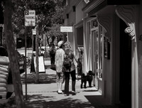 Poodle Shopping