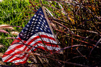Flag in Grass